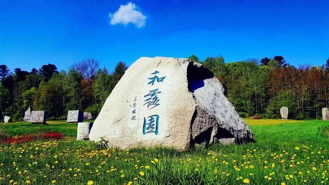 领导让加班，该怎么回复才能不被骂！游戏画面